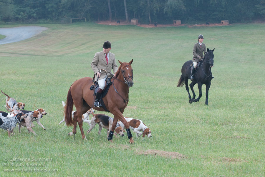 FH_20090907_009: Farmington Hunt, Fox Hunting, Daron Beeney, hounds, Huntsman, Foxfield, cubbing