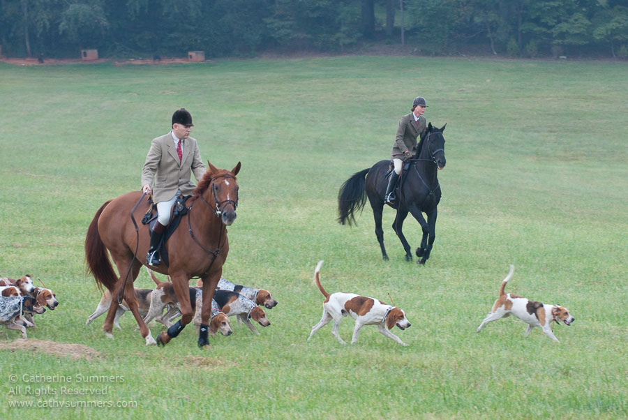 FH_20090907_010: Farmington Hunt, Fox Hunting, Daron Beeney, hounds, Huntsman, Foxfield, cubbing
