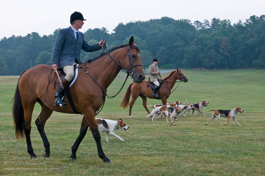 FH_20090907_015: Farmington Hunt, Fox Hunting, Bok Summers, Foxfield, cubbing