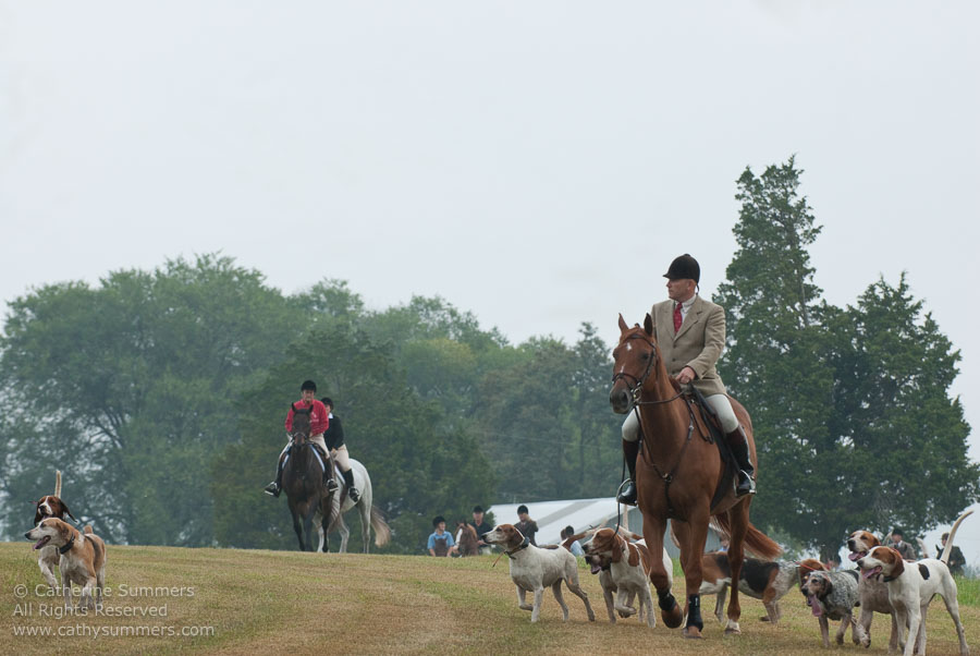 FH_20090907_016: Farmington Hunt, Fox Hunting, Daron Beeney, hounds, Huntsman, Foxfield