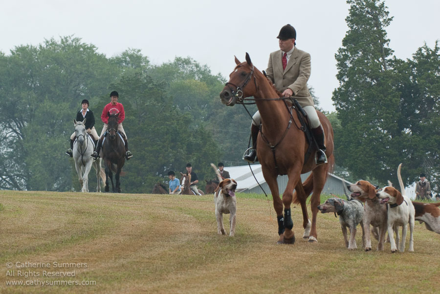 FH_20090907_017: Farmington Hunt, Fox Hunting, Daron Beeney, hounds, Huntsman, Foxfield, cubbing