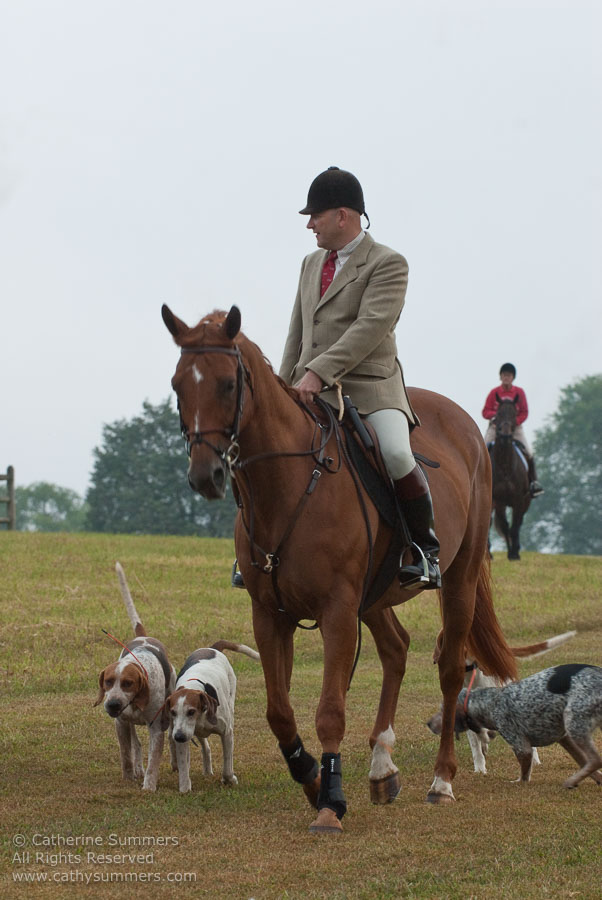 FH_20090907_019: Farmington Hunt, Fox Hunting, Daron Beeney, hounds, Huntsman, Foxfield, cubbing