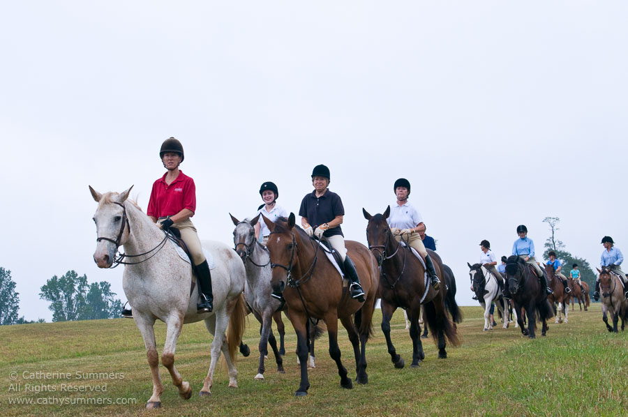 FH_20090907_044: Farmington Hunt, Fox Hunting, Foxfield, Bobbie Wells, cubbing, Hilltoppers, Liz King