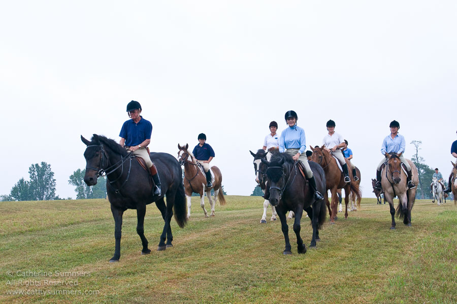 FH_20090907_046: Farmington Hunt, Fox Hunting, Foxfield, cubbing