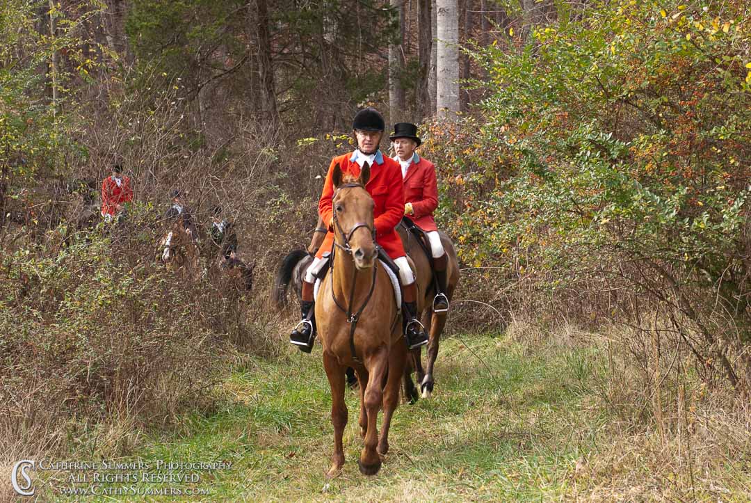 FH_20091126_217: Farmington Hunt, Fox Hunting, Ken Chapman, Foxfield, Thanksgiving Hunt
