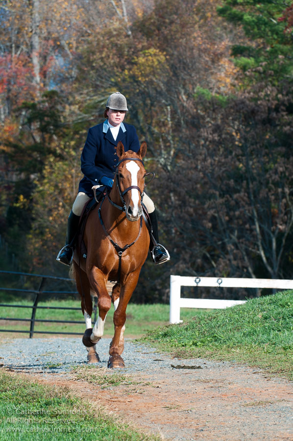FH_20101030_221: Farmington Hunt, Fox Hunting, Opening Meet, Millington, Allison Beeney, Whipper-In