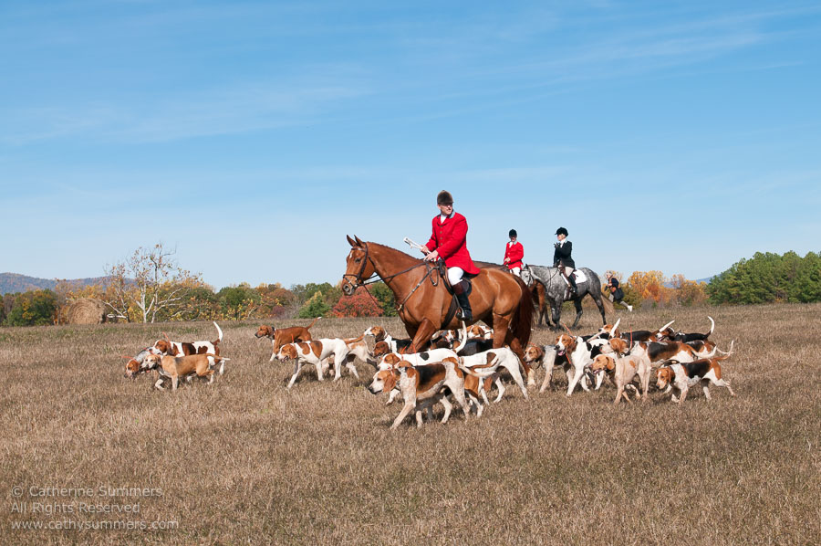 FH_20101030_287: Farmington Hunt, Fox Hunting, Opening Meet, Millington