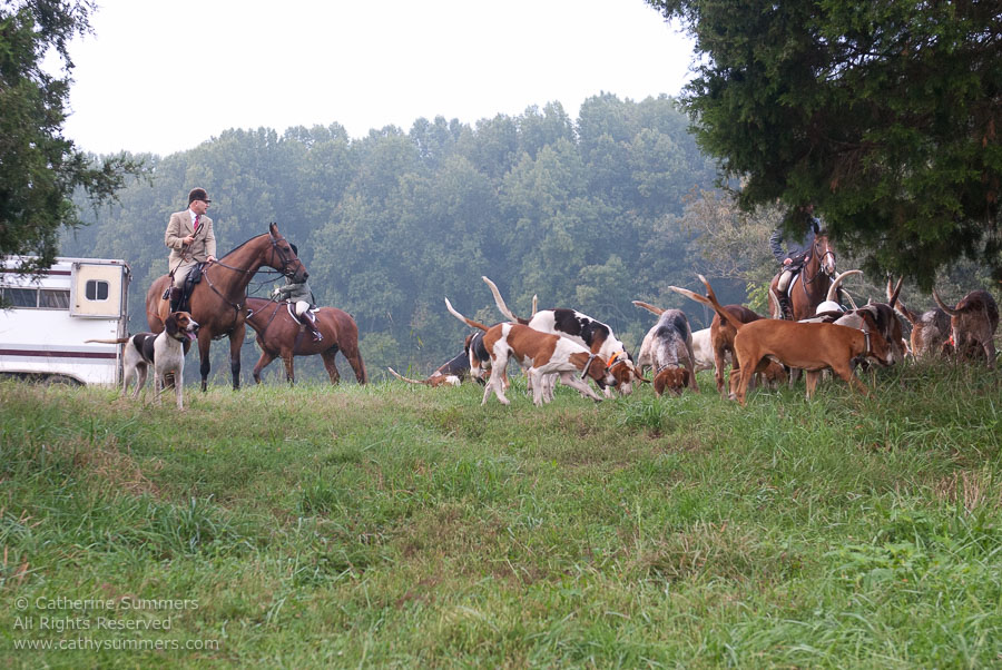 FH_20110905_015: Daron Beeney, hounds, cubbing, Mint Meadows