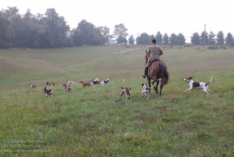 FH_20110905_019: Daron Beeney, hounds, cubbing, Mint Meadows