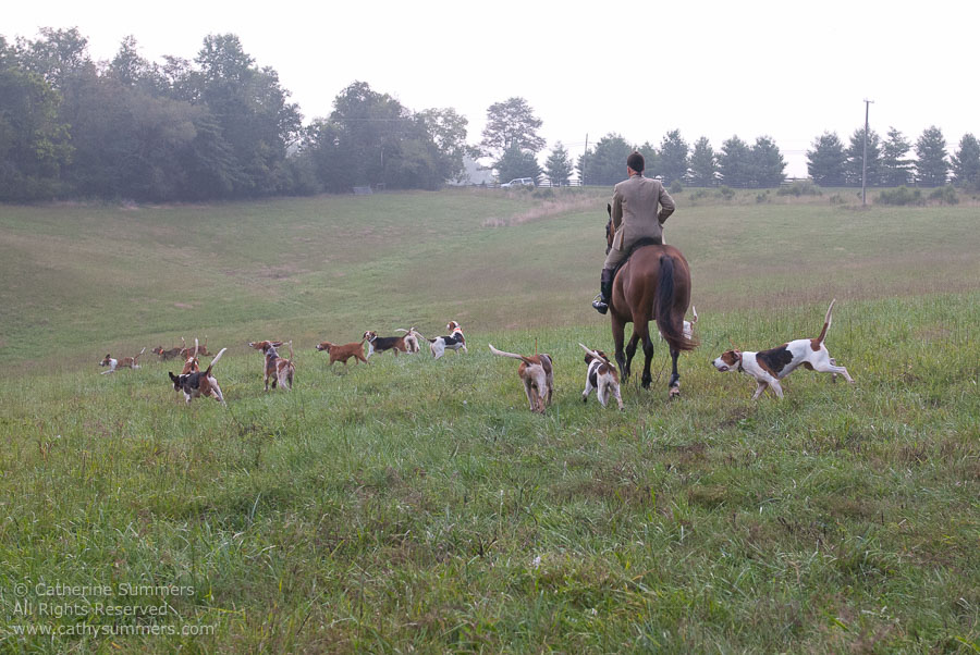FH_20110905_020: Daron Beeney, hounds, cubbing, Mint Meadows