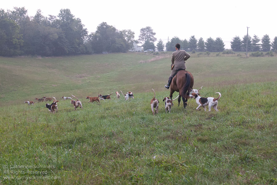 FH_20110905_021: Daron Beeney, hounds, cubbing, Mint Meadows